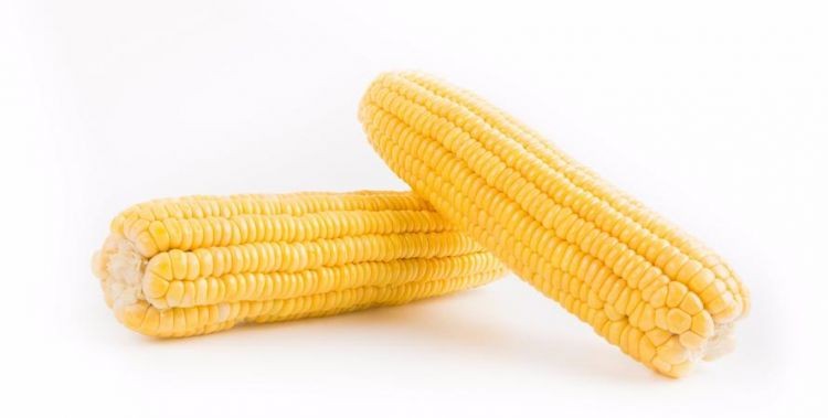 新鲜玉米棒子如何保存