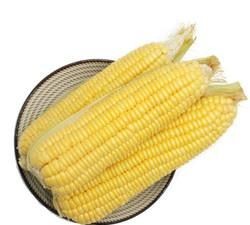 新鲜玉米棒怎么保存方法