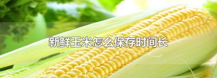 生玉米棒怎么保存放的时间长
