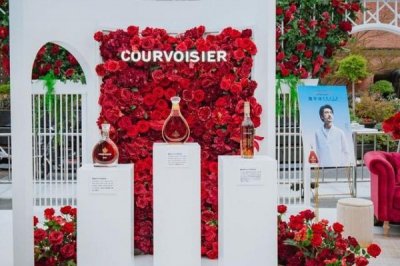 ​法国香槟酒品牌(法国香槟酒有保质期吗)