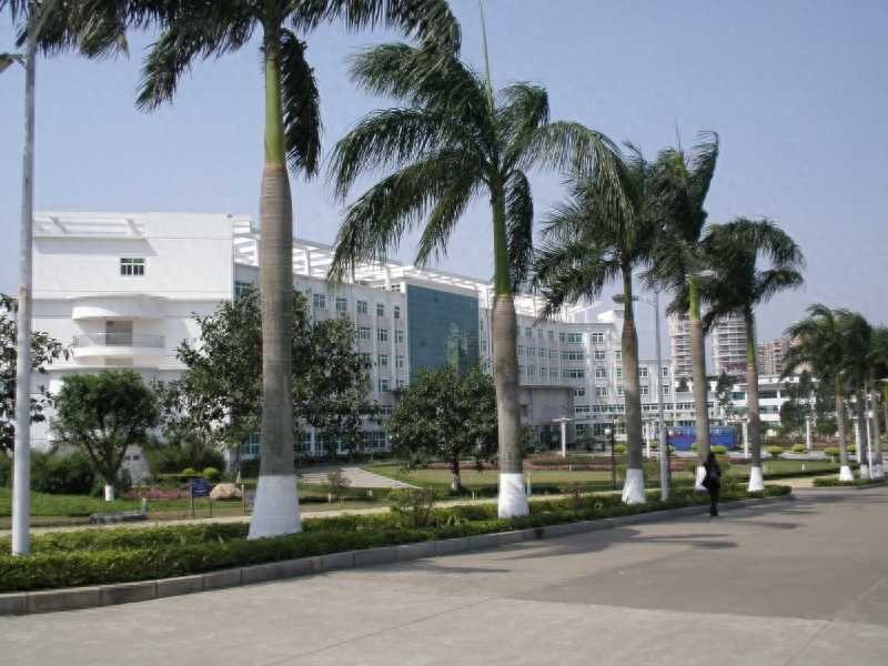 广东一本大学(广东省一本大学院校名单)