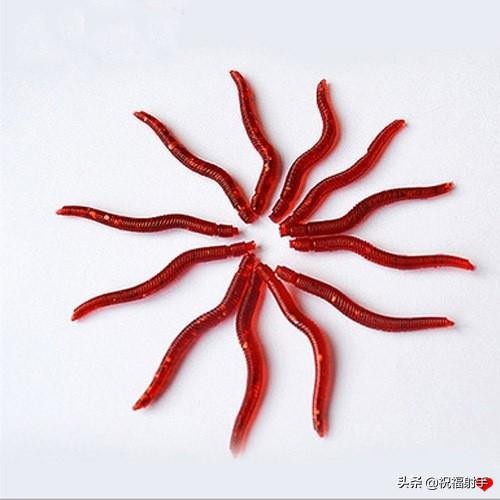 蚯蚓到底是什么样的（蚯蚓有什么用万物皆可用系列）(16)