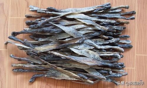 蚯蚓到底是什么样的（蚯蚓有什么用万物皆可用系列）(22)