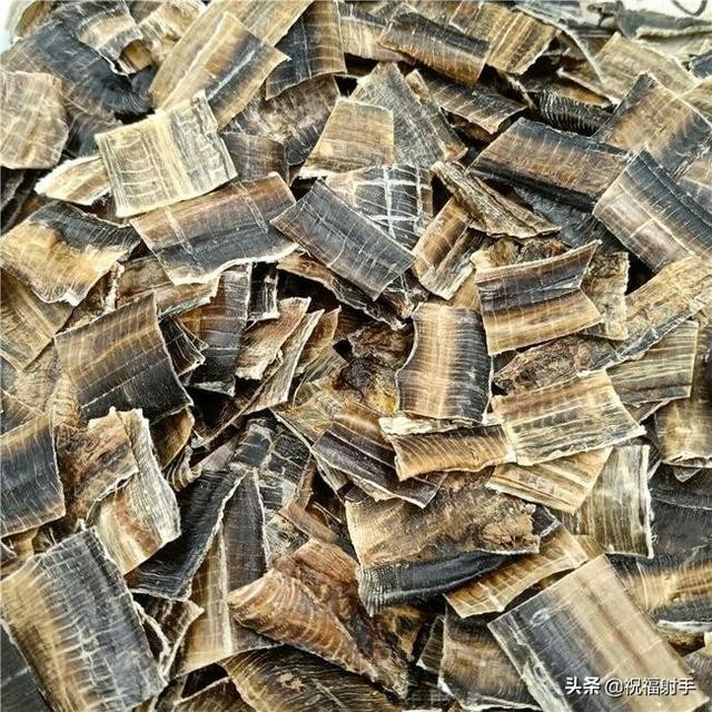 蚯蚓到底是什么样的（蚯蚓有什么用万物皆可用系列）(23)