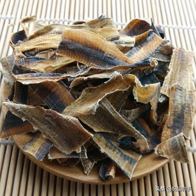 蚯蚓到底是什么样的（蚯蚓有什么用万物皆可用系列）(26)