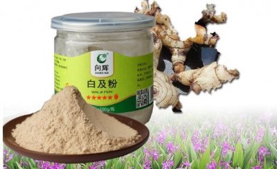 ​白芨粉的功效与作用（白芨粉的简介）