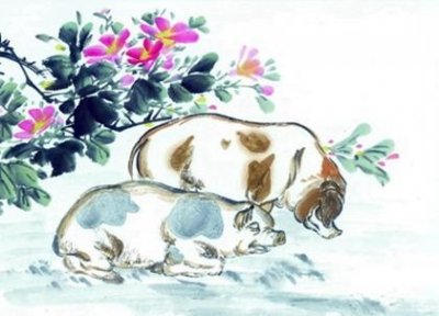 ​1971年属什么（1971年的生肖）