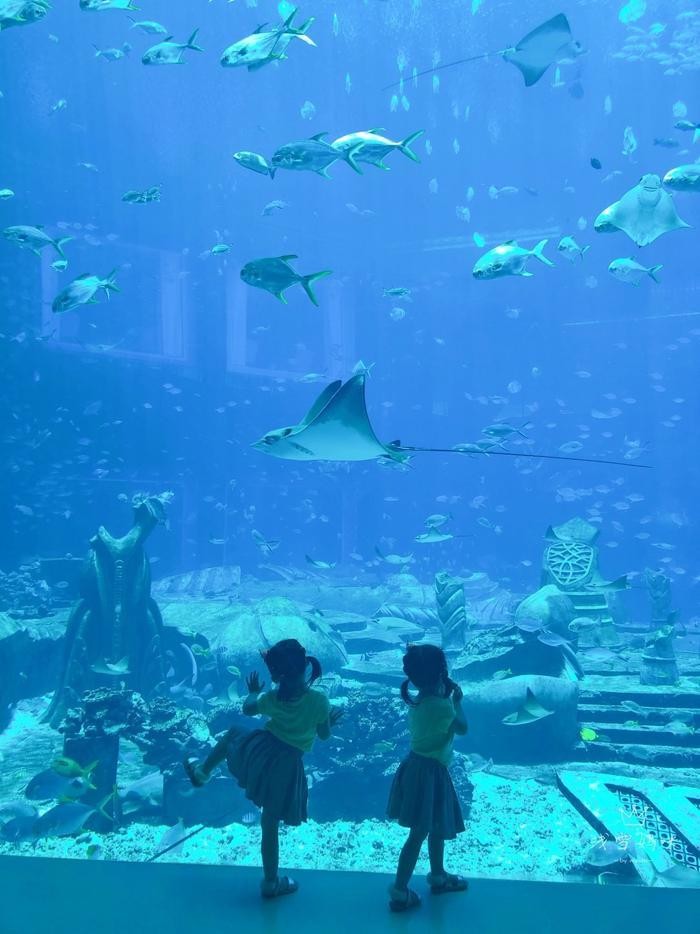 五星品质vs白菜价，带你玩转三亚亚特兰蒂斯