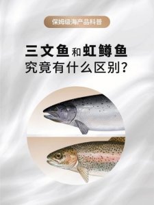 ​虹鳟鱼有哪些品种（探秘冷水中的贵族）