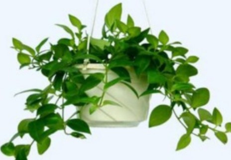 甲醛多少超标多少正常,甲醛多少算超标多少算正常图3