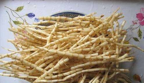 茅草根的作用与功效,茅草根的功效与作用是什么?图3