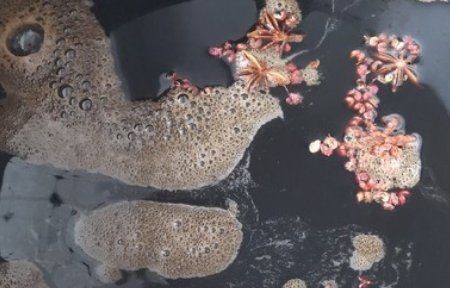 糖蒜怎么腌制的方法,糖蒜怎么腌制好吃图6