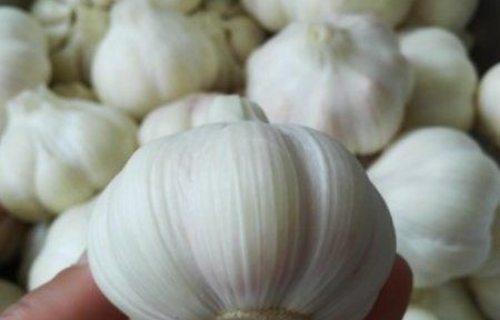 糖蒜怎么腌制的方法,糖蒜怎么腌制好吃图2