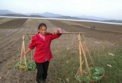 ​农村冬天干点什么赚钱(农村冬季做什么生意赚钱)