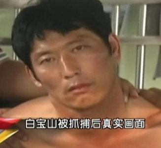 ​老马拍案悍匪白宝山全集(老马拍案白宝山全集)