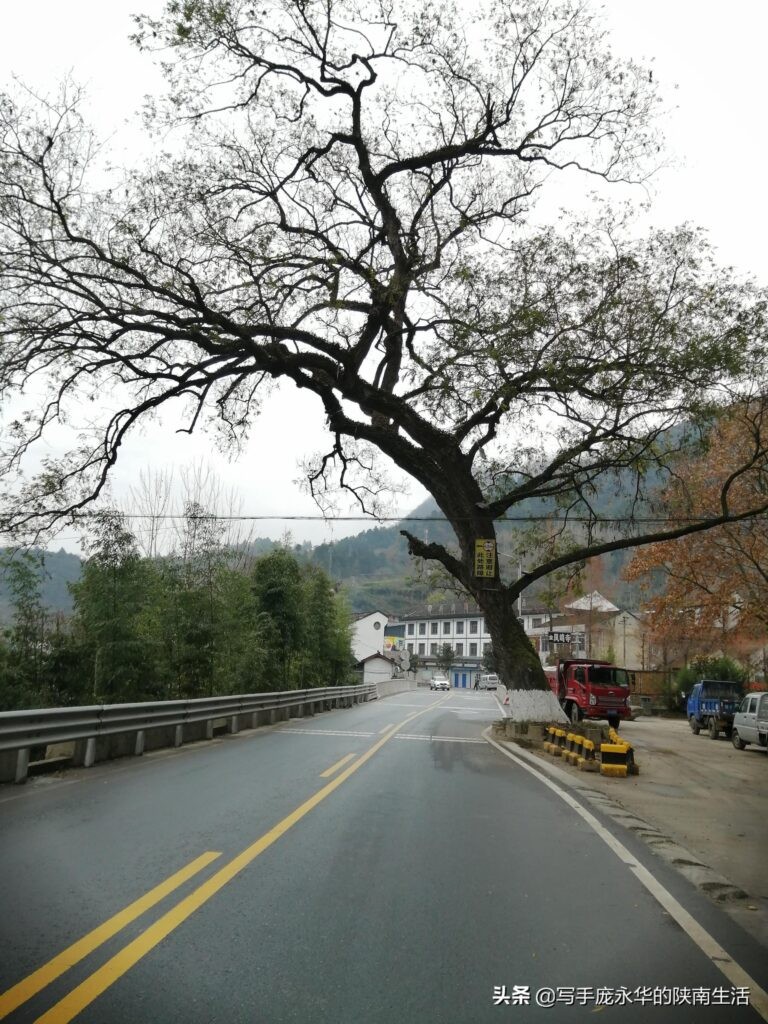 萧何追韩信处是哪里_历史故事