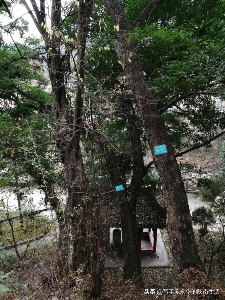 萧何追韩信处是哪里_历史故事