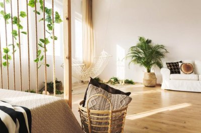 ​地肤子和地肤皮的区别