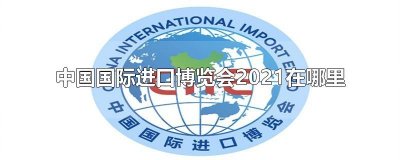 ​中国国际进口博览会2025在哪里