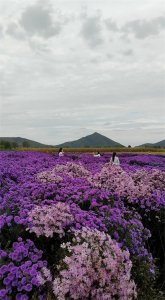 ​徐州免费景点推荐|徐州市10个免费的景点