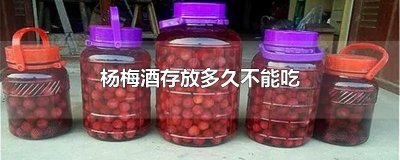 ​杨梅酒存放多久不能吃