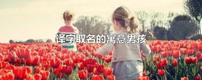 ​译字取名的寓意男孩