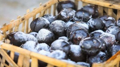 ​冻梨变黑的原理