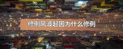 ​修例风波起因为什么修例