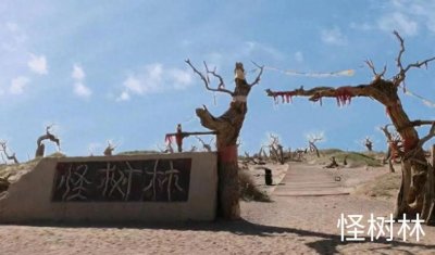 ​打卡内蒙古额济纳旗胡杨林之“怪树林”