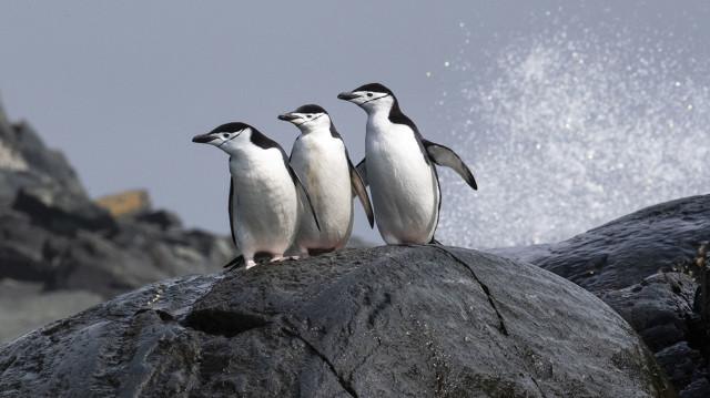 团结的名言30句(团结协作的重要性)(5)