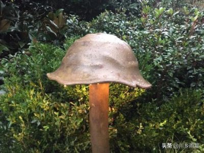 ​分数的再认识(一)教学设计，分数的再认识华应龙课堂实录