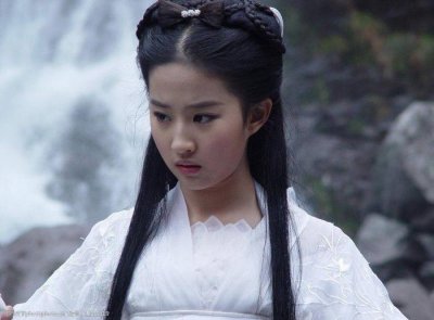 ​神雕后传：郭芙生下四个儿子，大儿早死，三子、四子是与杨过所生