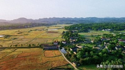 ​乡镇选调生一年能挣多少钱？