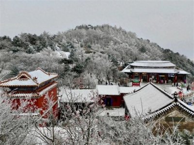 ​新鲜出炉！30张照片，带你看初雪后大美泰山！