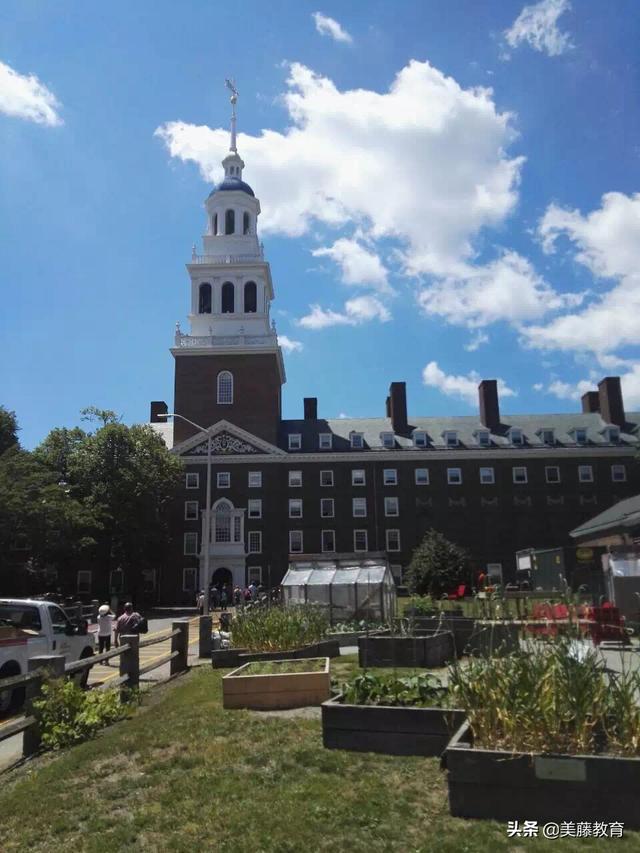 哈佛大学本科如何申请（这些你都要提前备好）(1)