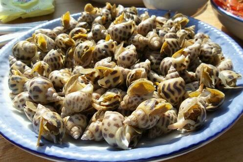 花螺蒸多长时间最好吃（分享蒸花螺的最佳时长）