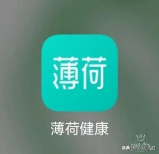 ​减肥软件哪个好(推荐两个“减肥人士必备APP”)