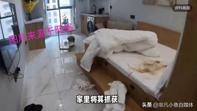 ​诱奸女大学生的“8起”惊人案件，罪恶的延续不可忽视需斩草除根