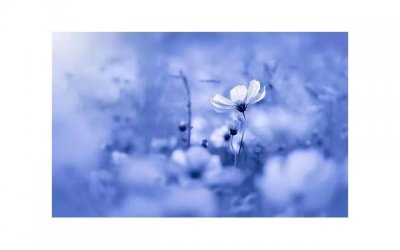 ​《如何得到一生所爱》第二章：爱一个人是什么感觉02