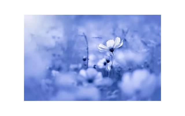 《如何得到一生所爱》第二章：爱一个人是什么感觉02