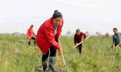 ​俗语：男人四十一朵花，女人四十豆腐渣，是什么意思？...