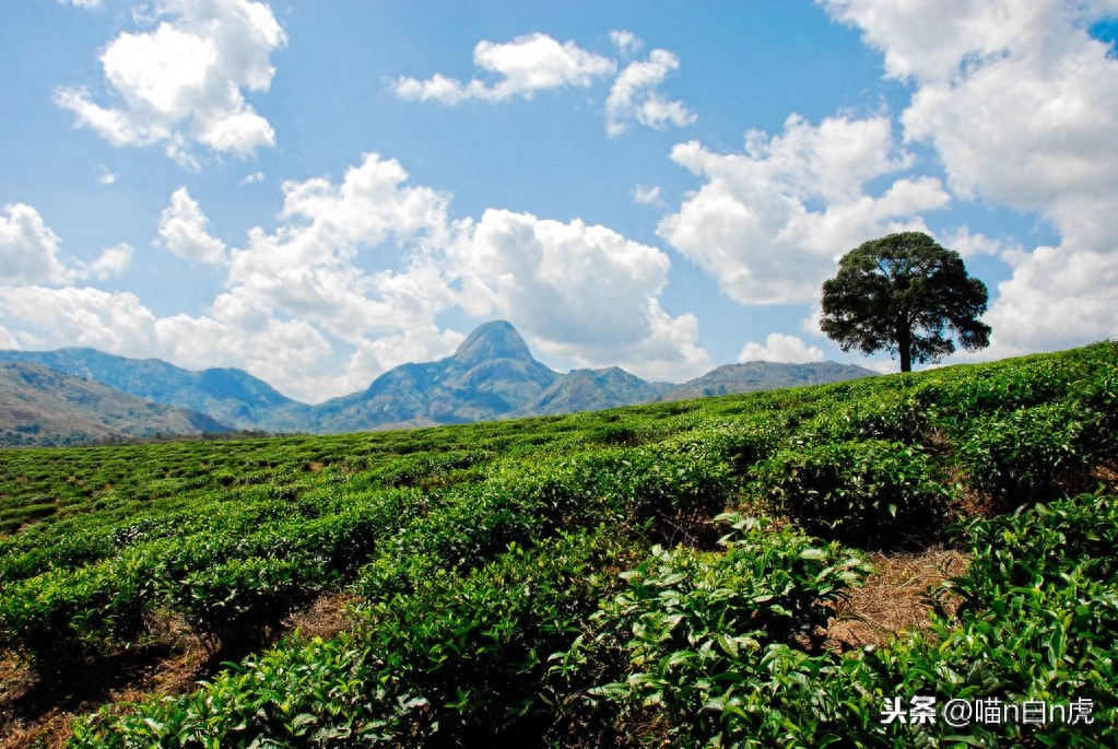 这里是莫桑比克