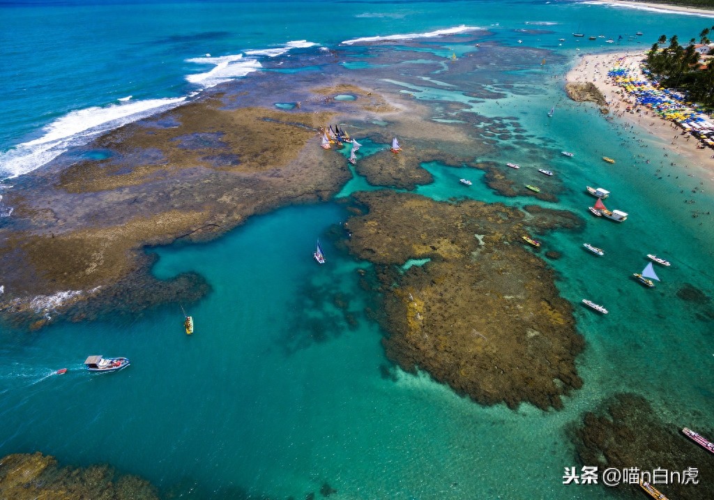 这里是莫桑比克