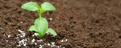 ​尿素是不是在内环境中 尿素是内环境成分吗?