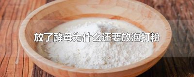 ​放了酵母为什么还要放泡打粉