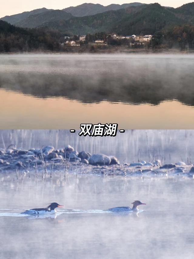 合肥周边哪些城市适合自驾游(合肥荐玩合肥周边适合周末自驾的8个神仙地)(7)