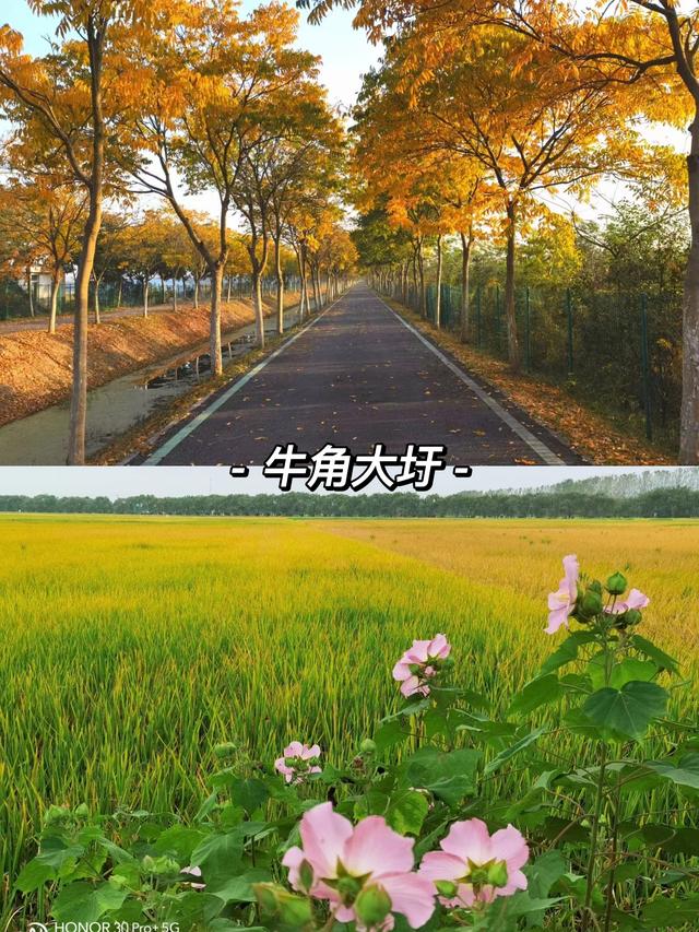 合肥周边哪些城市适合自驾游(合肥荐玩合肥周边适合周末自驾的8个神仙地)(2)