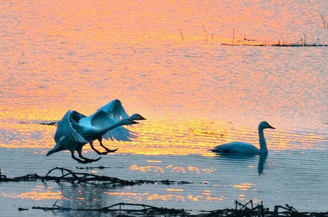 合肥周边哪些城市适合自驾游(合肥荐玩合肥周边适合周末自驾的8个神仙地)(8)
