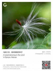 ​有被治愈到！一起走进神奇的植物世界