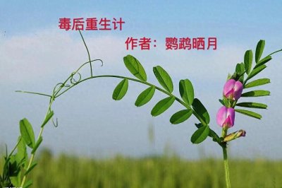 ​精彩！推荐5本女主重生抱大腿的养成文，文笔好笑点多